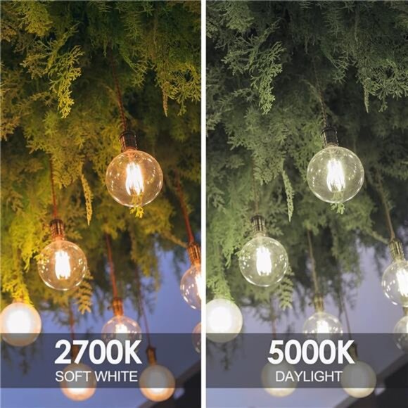 Dimmable LED Globe Light Bulb, G25 LED Vintage Light Bulb, 60W Equivalent - Picture 6 of 8